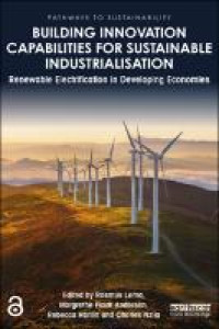 Image of Building innovation capabilities for sustainable industrialisation:renewable electrification in developing economies